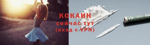 прущий лед Богородицк