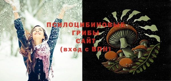 прущий лед Богородицк
