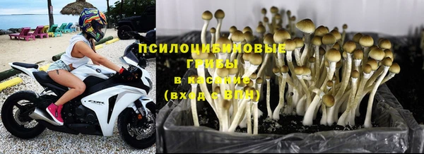амфетамин Богданович