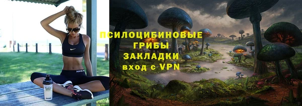 прущий лед Богородицк