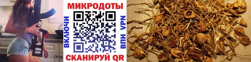 Галлюциногенные грибы Magic Shrooms  omg ССЫЛКА  Ужур 